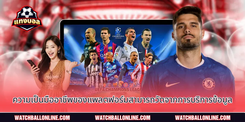 ความเป็นมืออาชีพของแพลตฟอร์มสามารถวัดจากการบริการข้อมูล